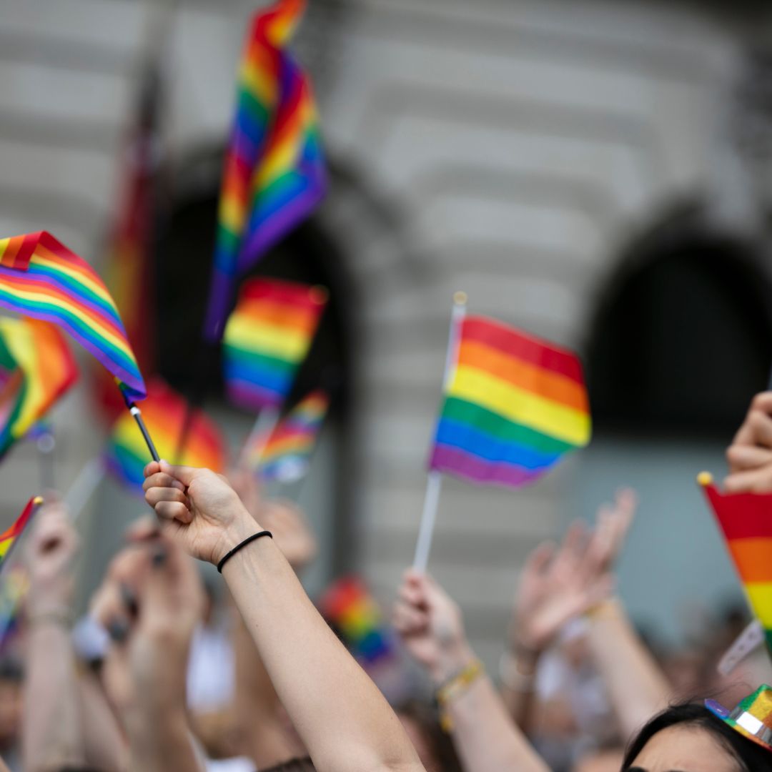 people holding mini pride flags