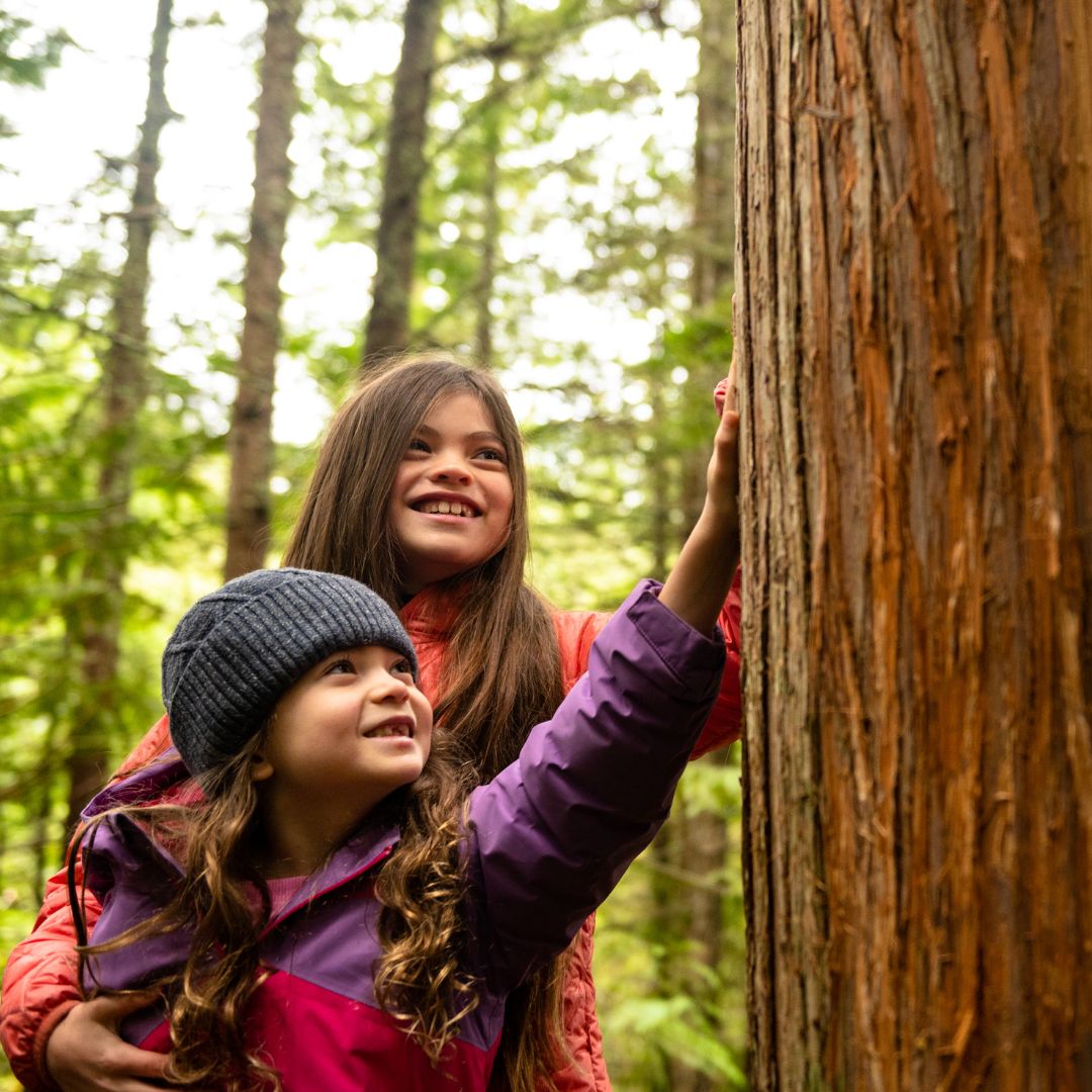 two girls touching a tree