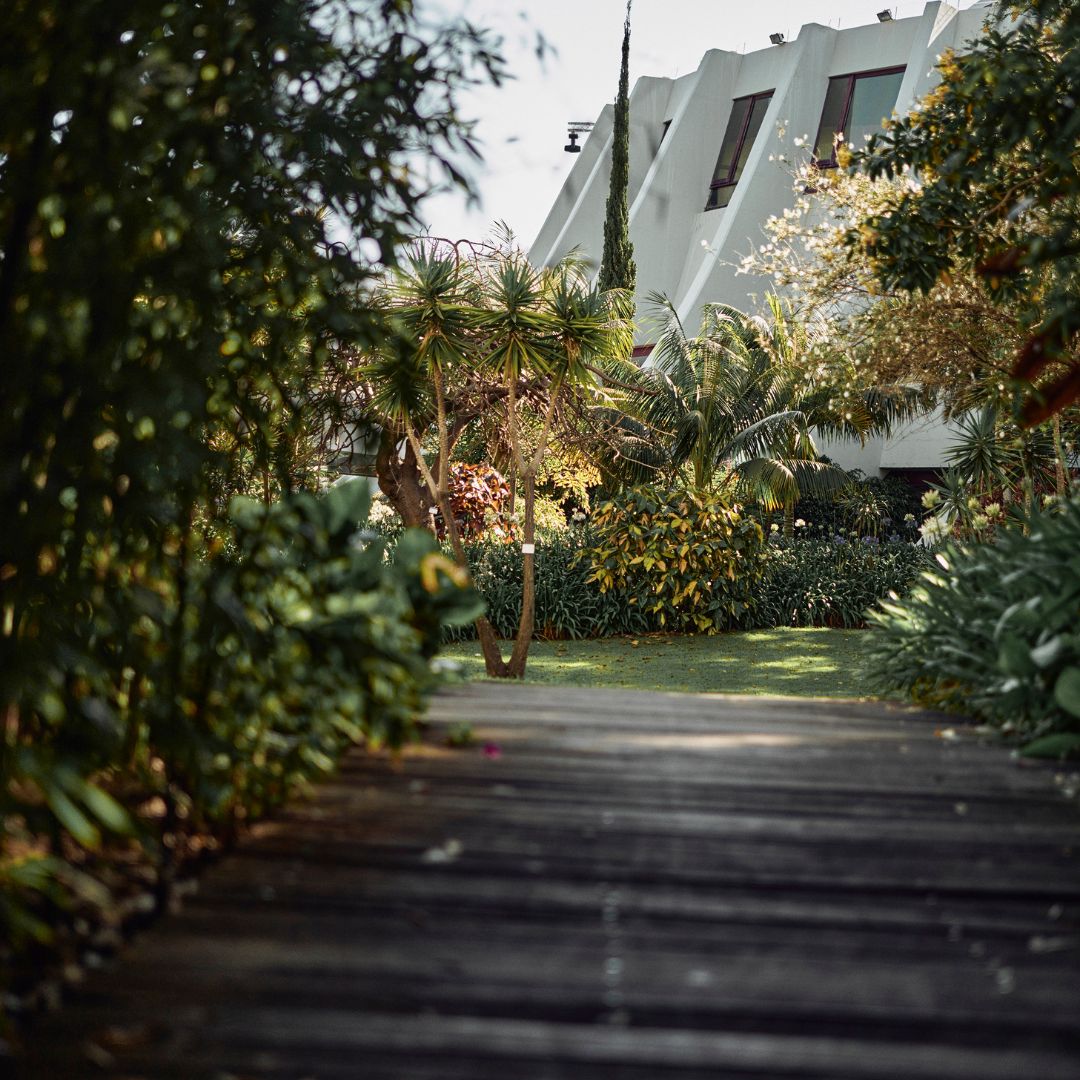 outdoor pathway in Louisiana