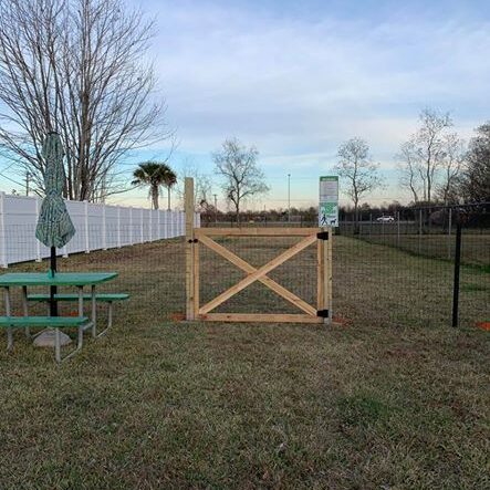 dog-park-5e15f74caaa67